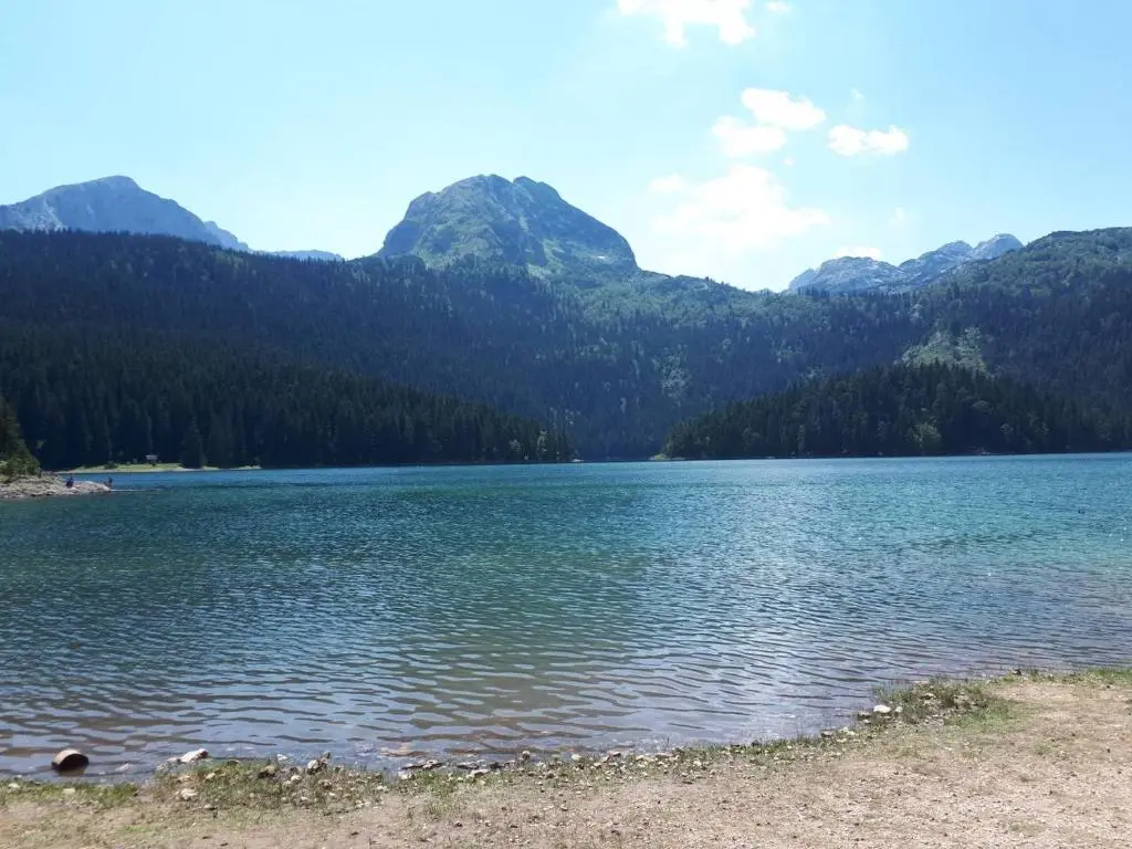 img_id_2302334.webp