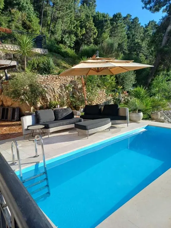 img_id_2302235.webp