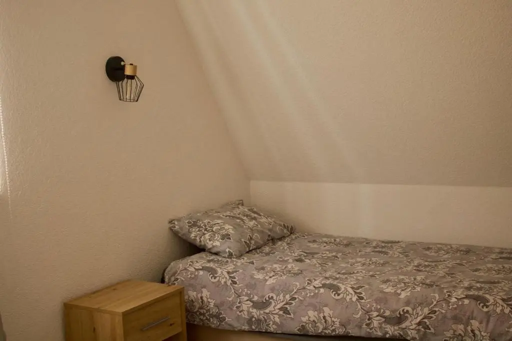 img_id_2302215.webp