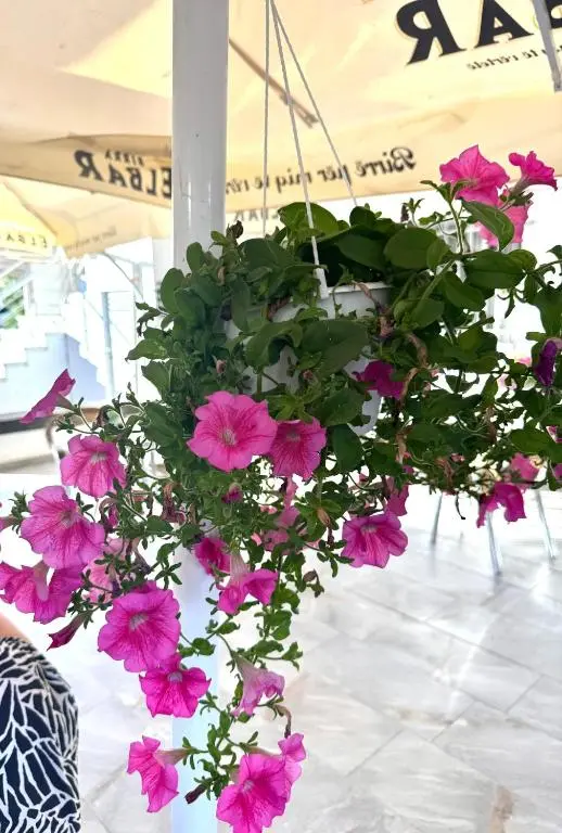 img_id_1700016.webp