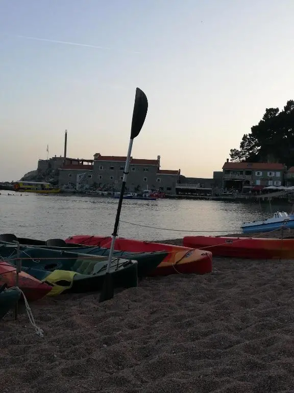 img_id_2301915.webp