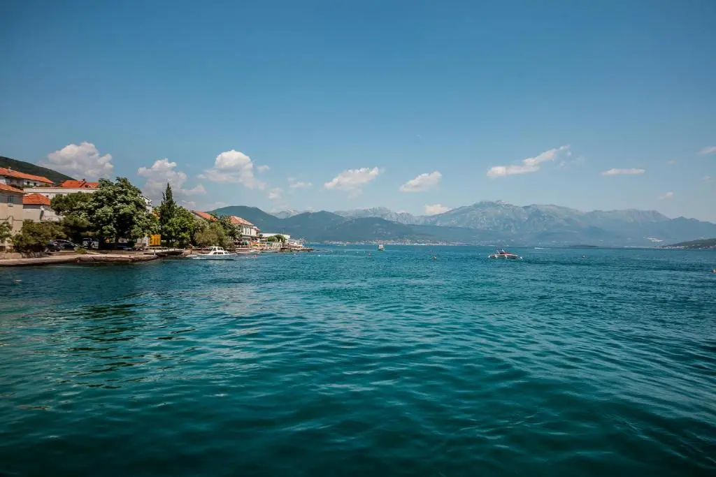 img_id_2301762.webp