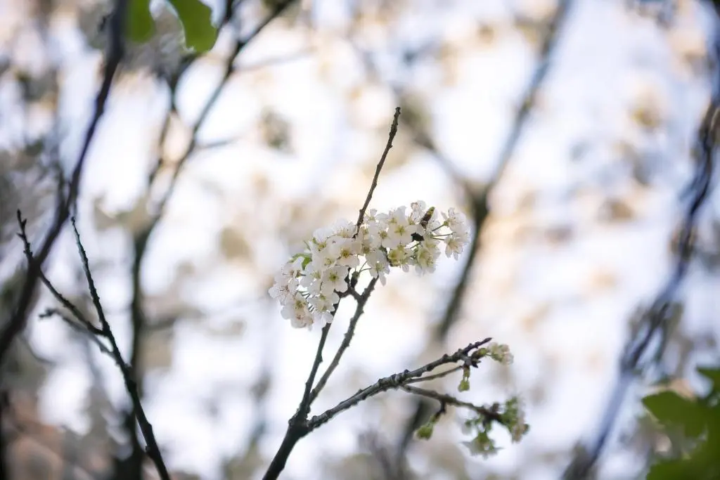 img_id_2301512.webp