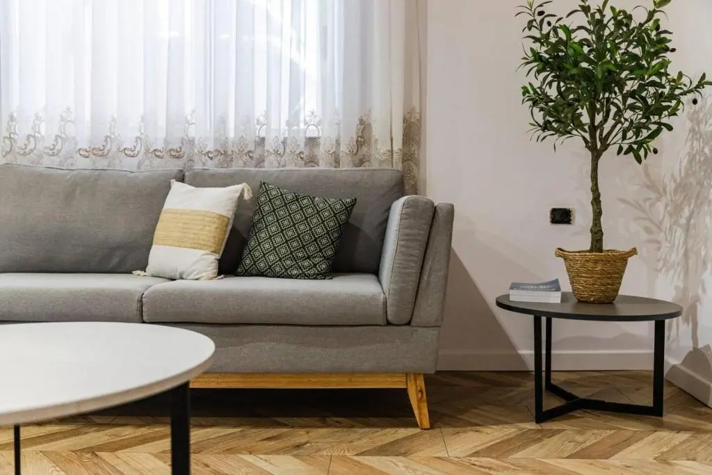 img_id_1723637.webp