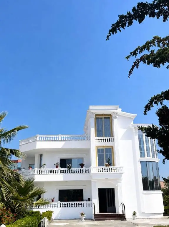img_id_1035009.webp