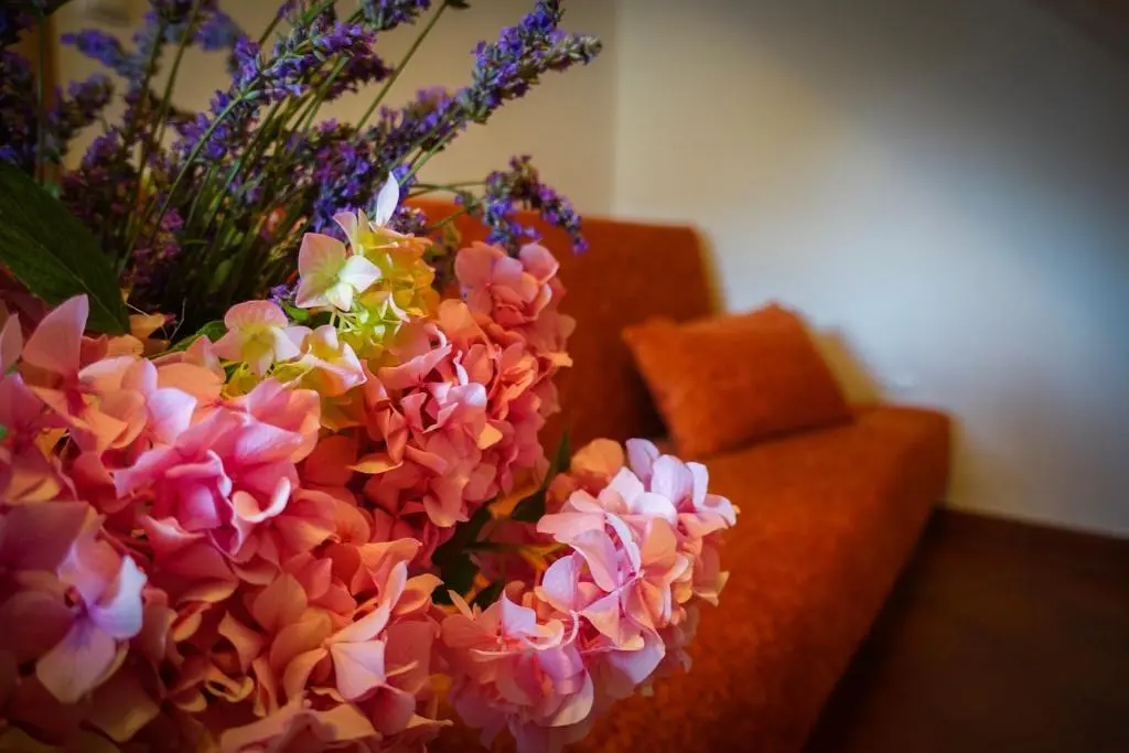 img_id_2299195.webp