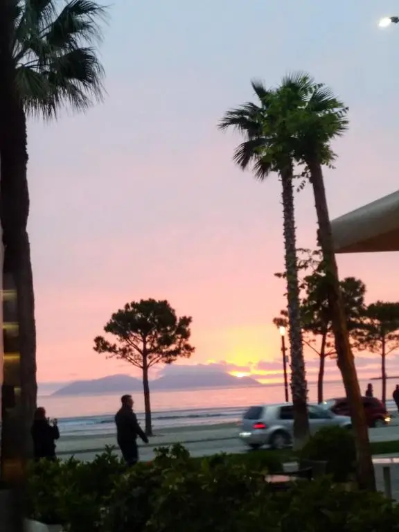 img_id_1671268.webp