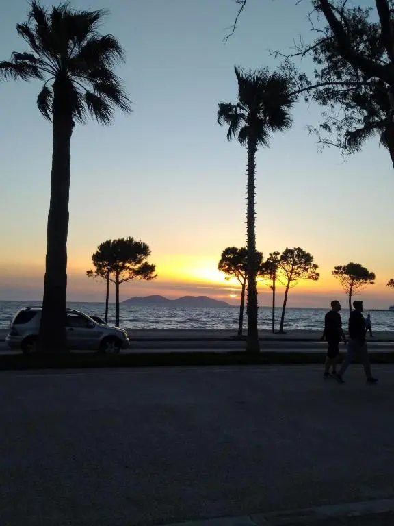 img_id_1671269.webp