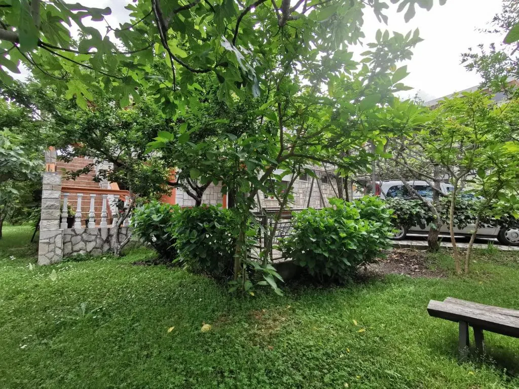 img_id_2297860.webp
