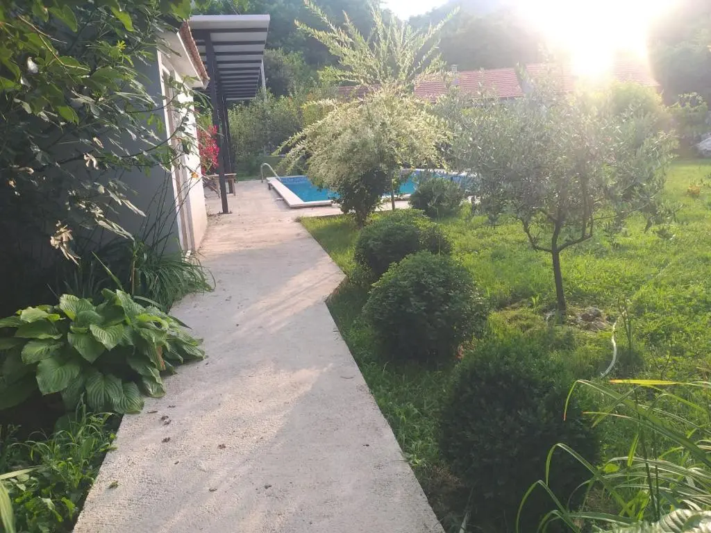 img_id_2297270.webp