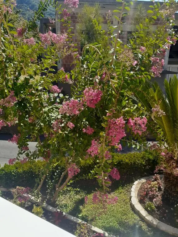 img_id_2297141.webp