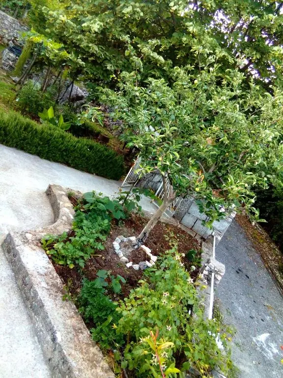 img_id_2297030.webp