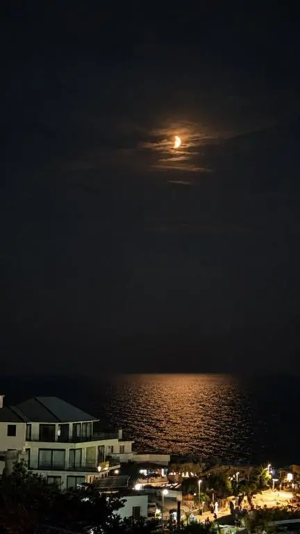 img_id_2297004.webp