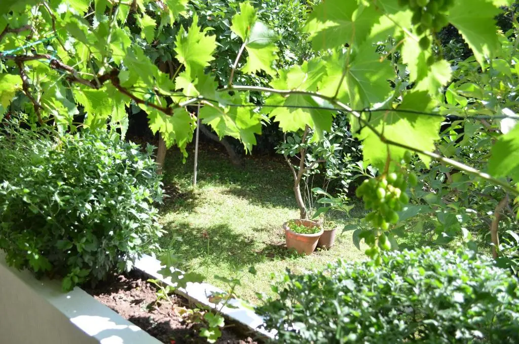 img_id_2296080.webp
