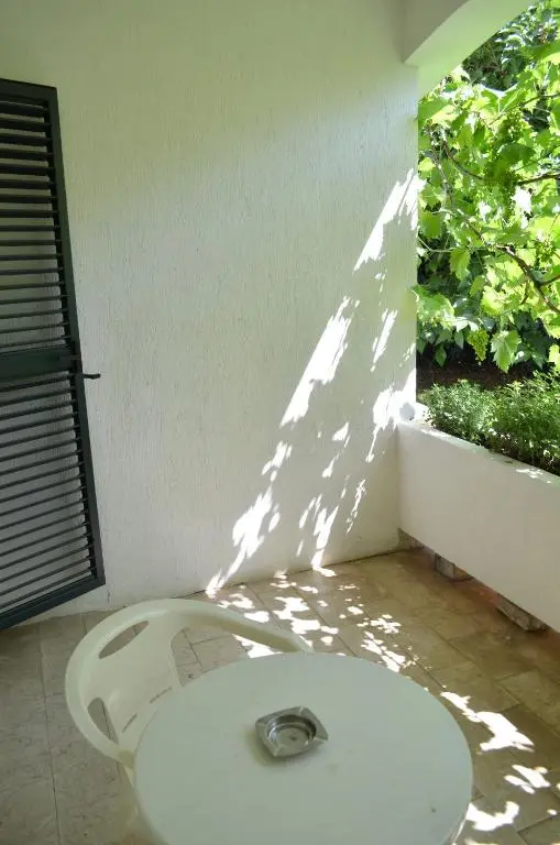img_id_2296081.webp