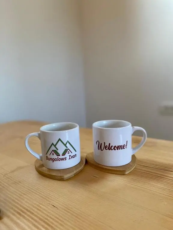 img_id_2295971.webp