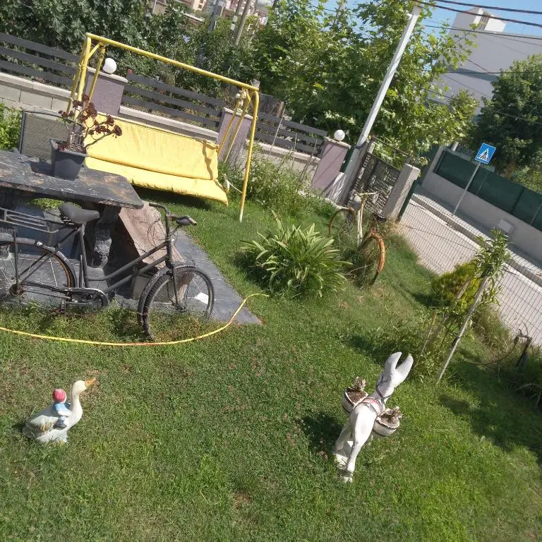 img_id_936597.webp