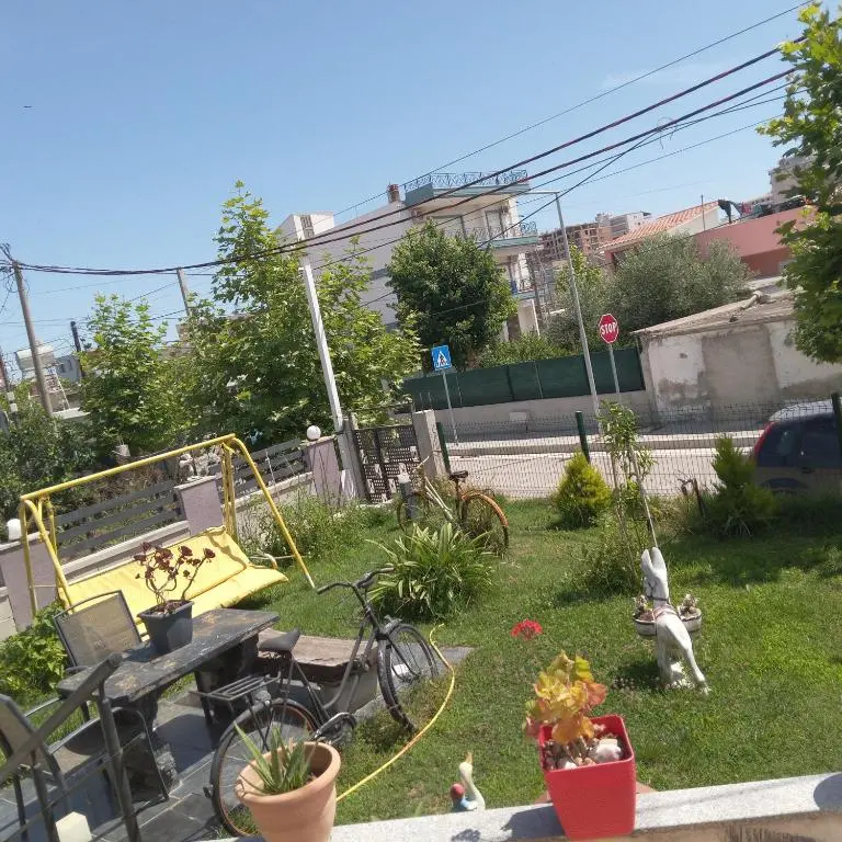 img_id_936598.webp