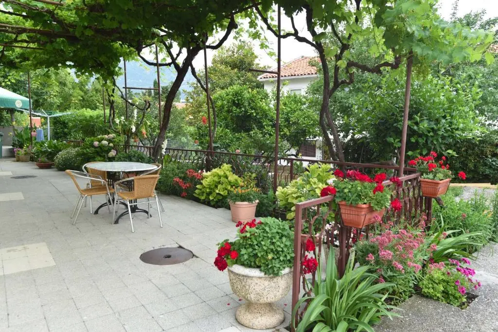 img_id_2295470.webp