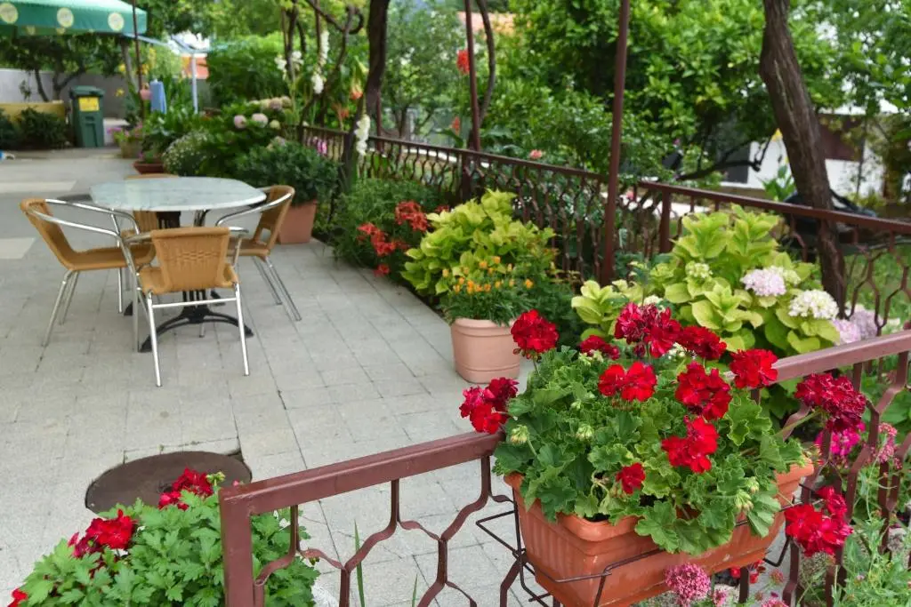 img_id_2295472.webp