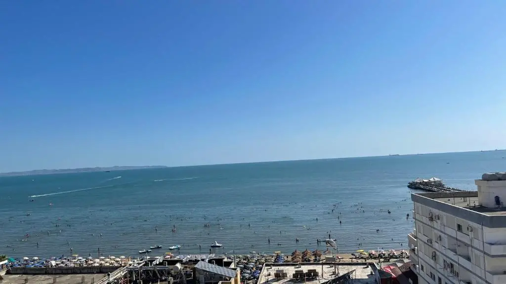 img_id_902766.webp