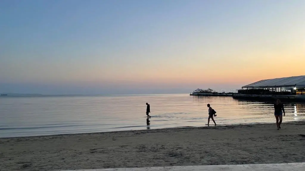 img_id_902773.webp