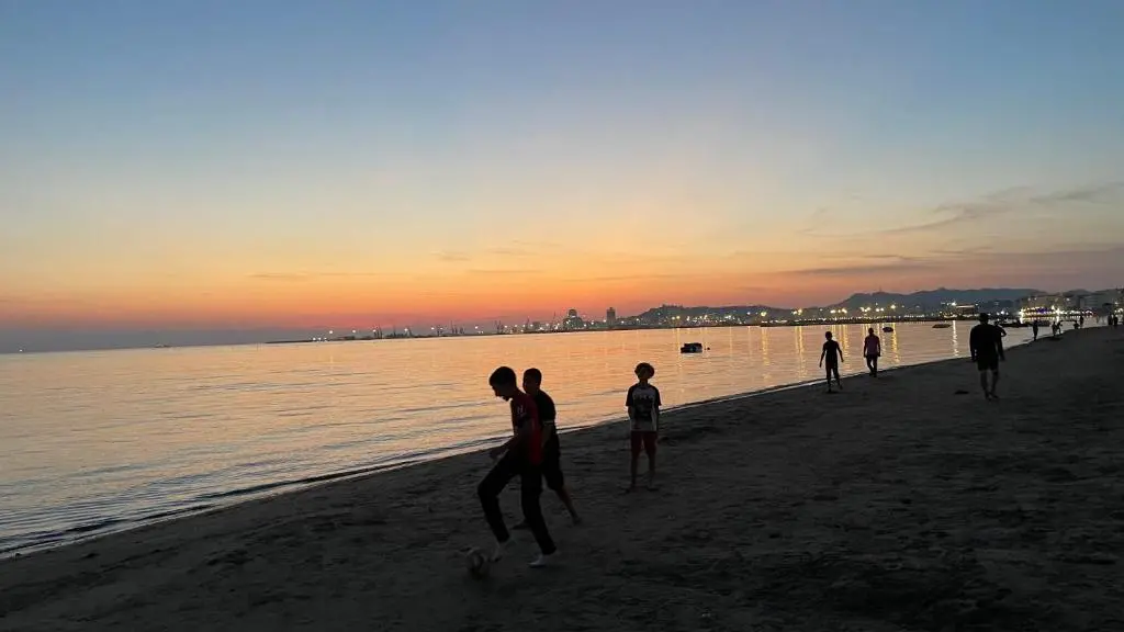 img_id_902774.webp