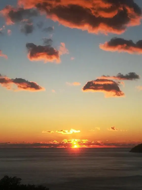 img_id_2295331.webp