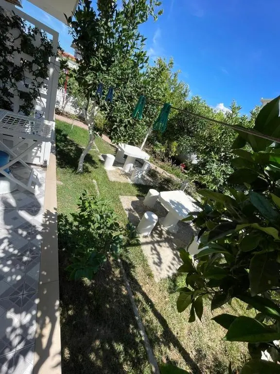 img_id_936214.webp