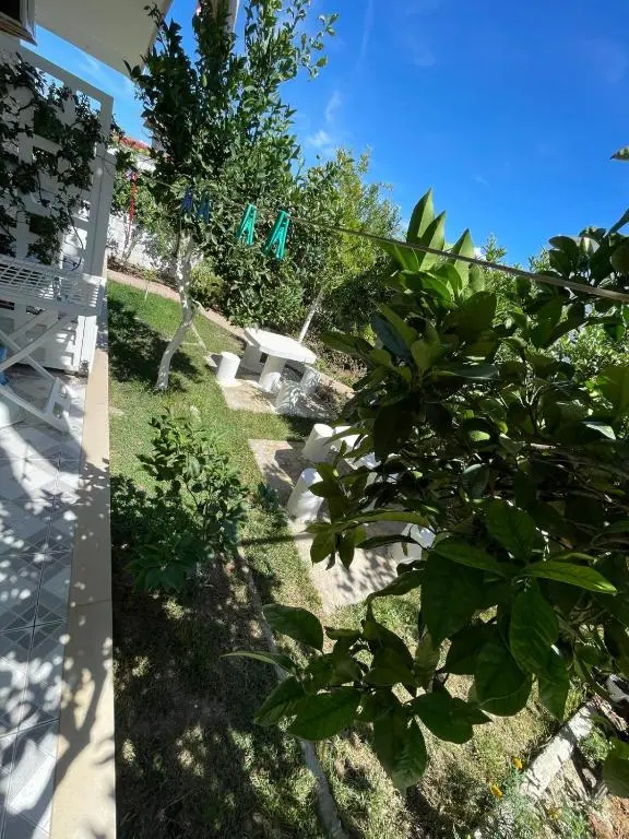 img_id_936225.webp