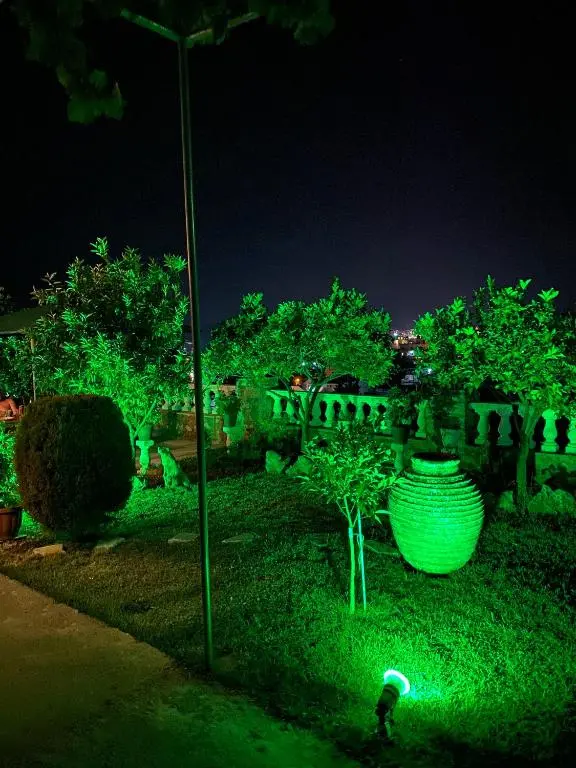 img_id_937604.webp
