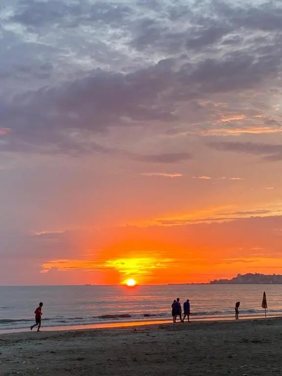 img_id_1692744.webp