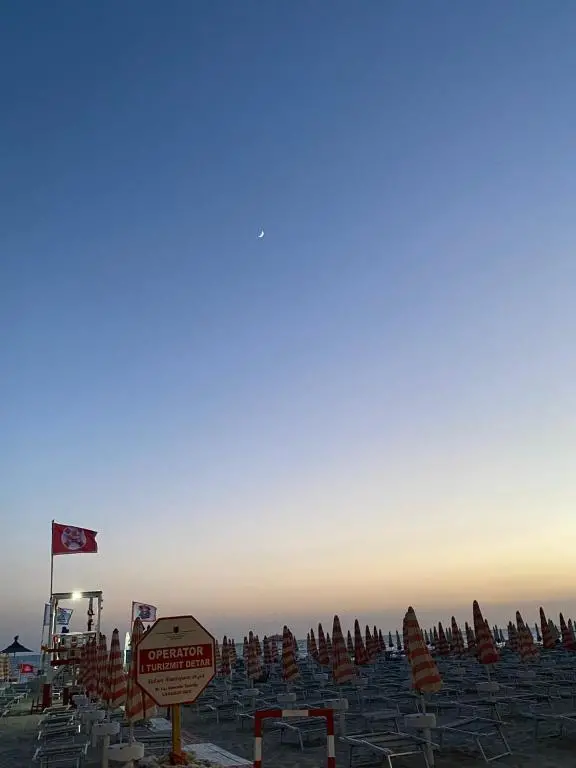 img_id_1692750.webp