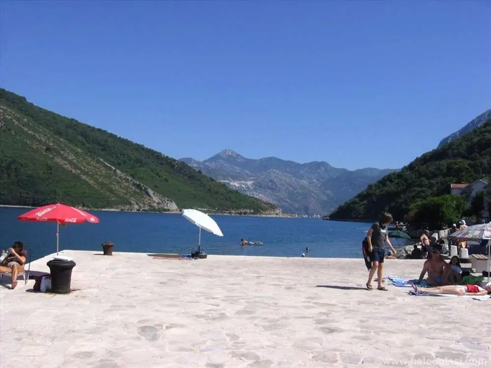 img_id_2292048.webp