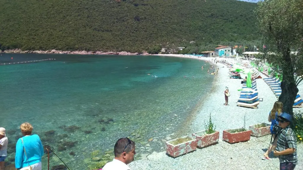 img_id_2291582.webp