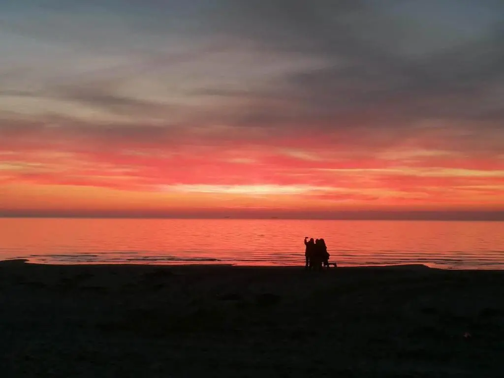 img_id_1674884.webp