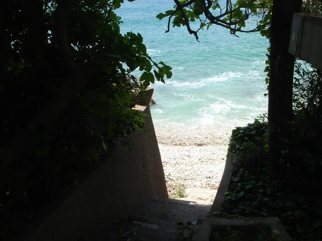img_id_2290473.webp