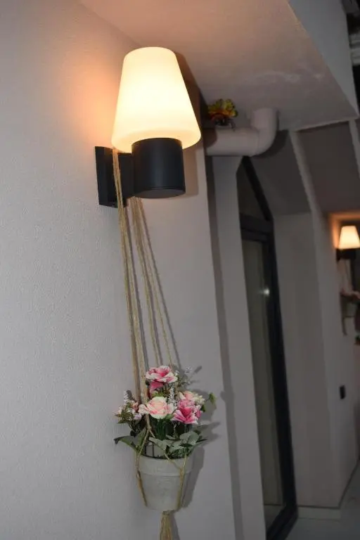 img_id_1339009.webp