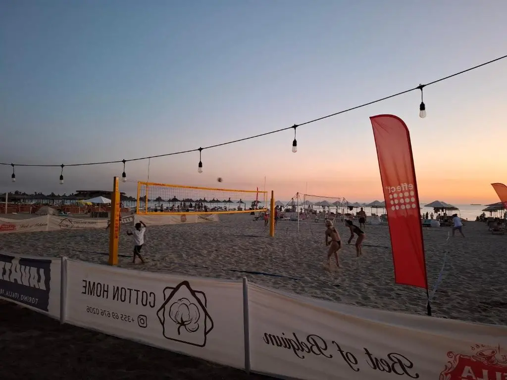 img_id_1339040.webp