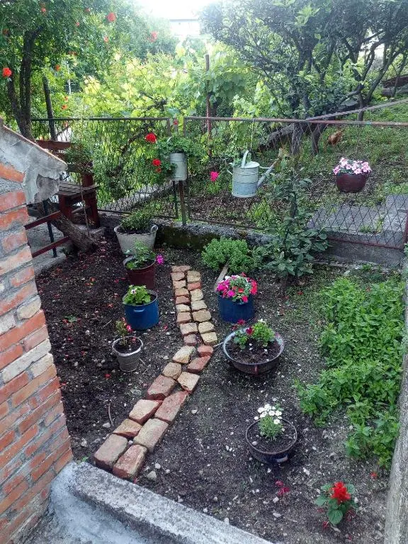 img_id_2289924.webp