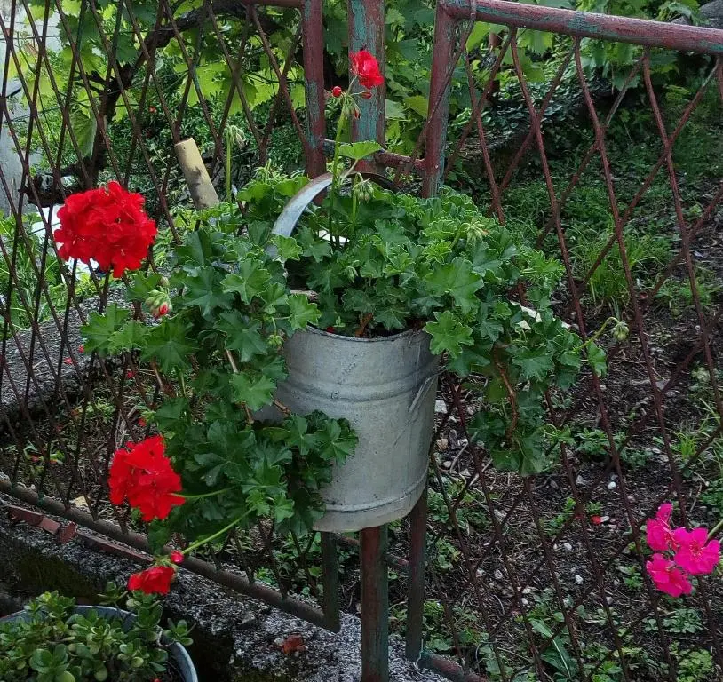 img_id_2289925.webp