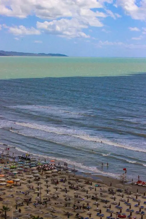 img_id_1718048.webp