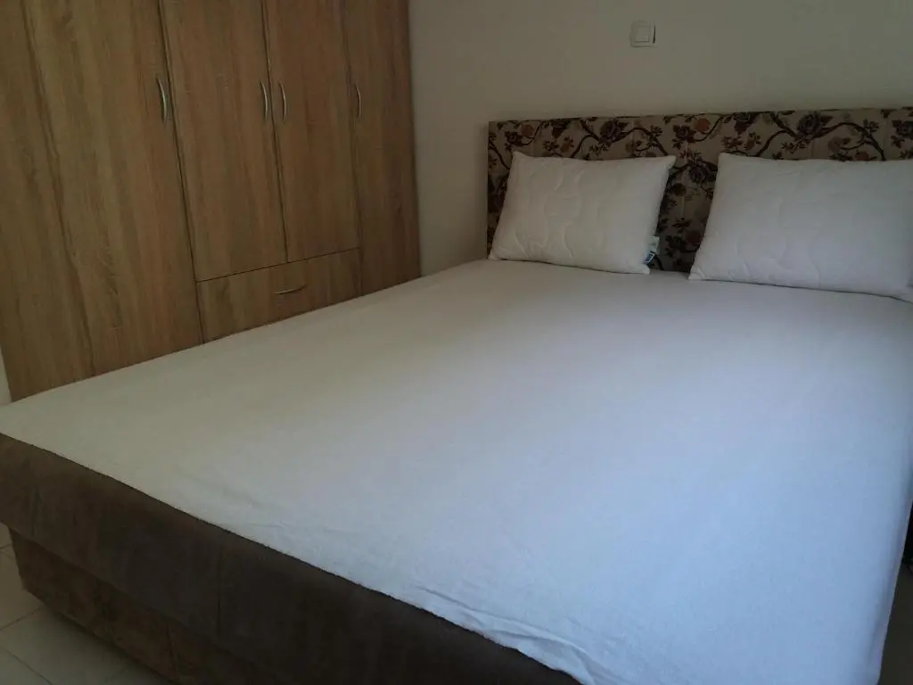 img_id_2289417.webp