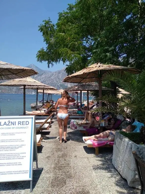 img_id_2288928.webp