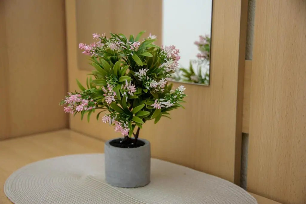 img_id_2288890.webp