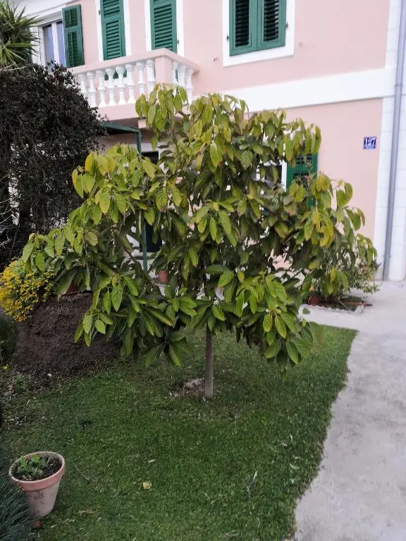 img_id_2288533.webp