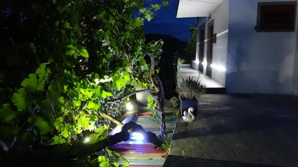 img_id_2287793.webp