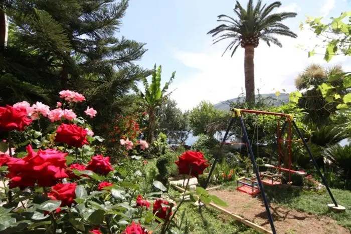 img_id_2286417.webp