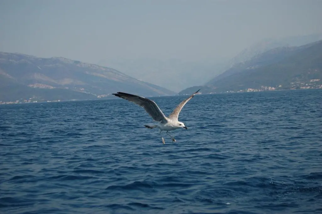 img_id_2285641.webp