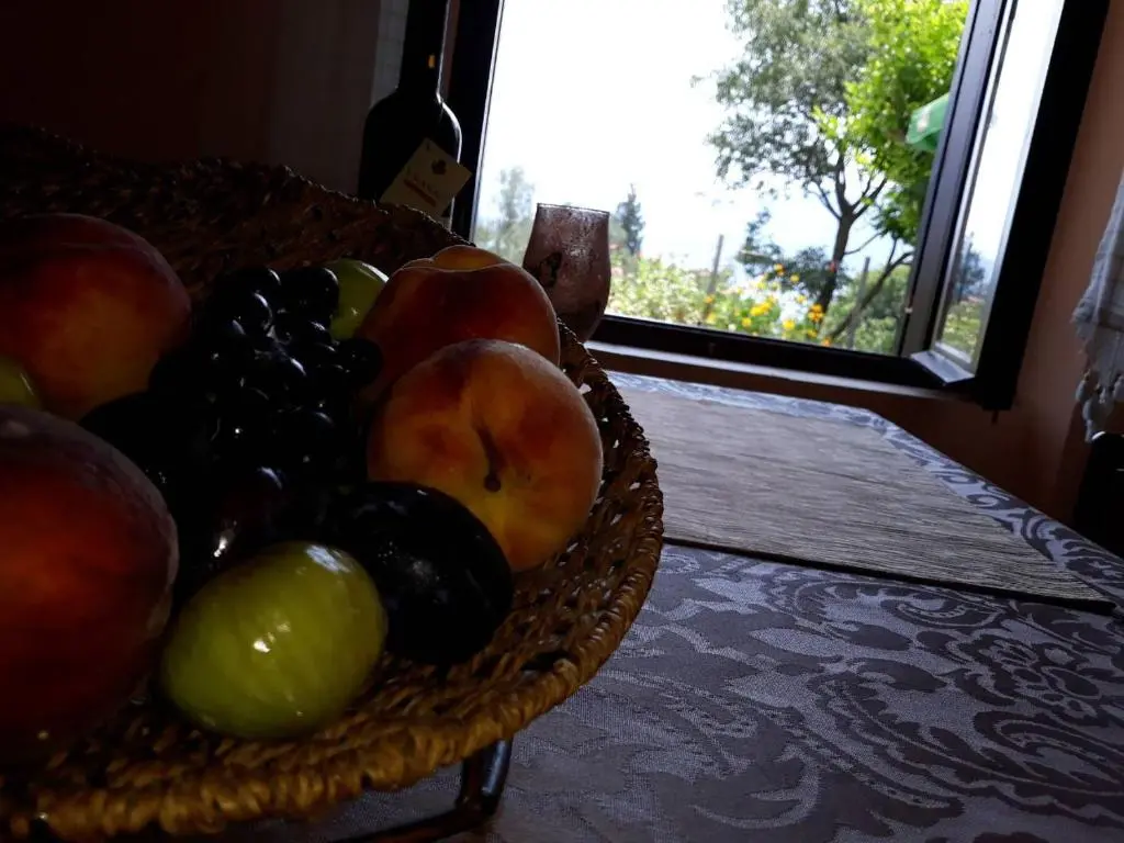img_id_2281817.webp